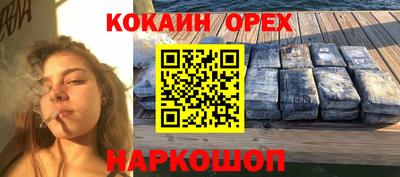 шишки Кимры