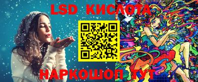 шишки Кимры