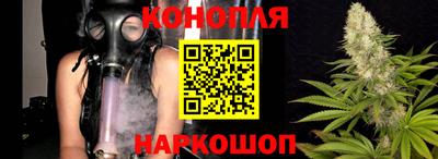 наркотики Кингисепп