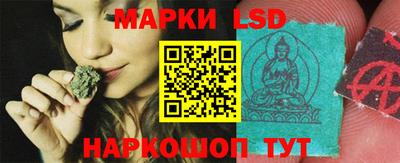 шишки Кимры