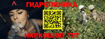 шишки Кимры