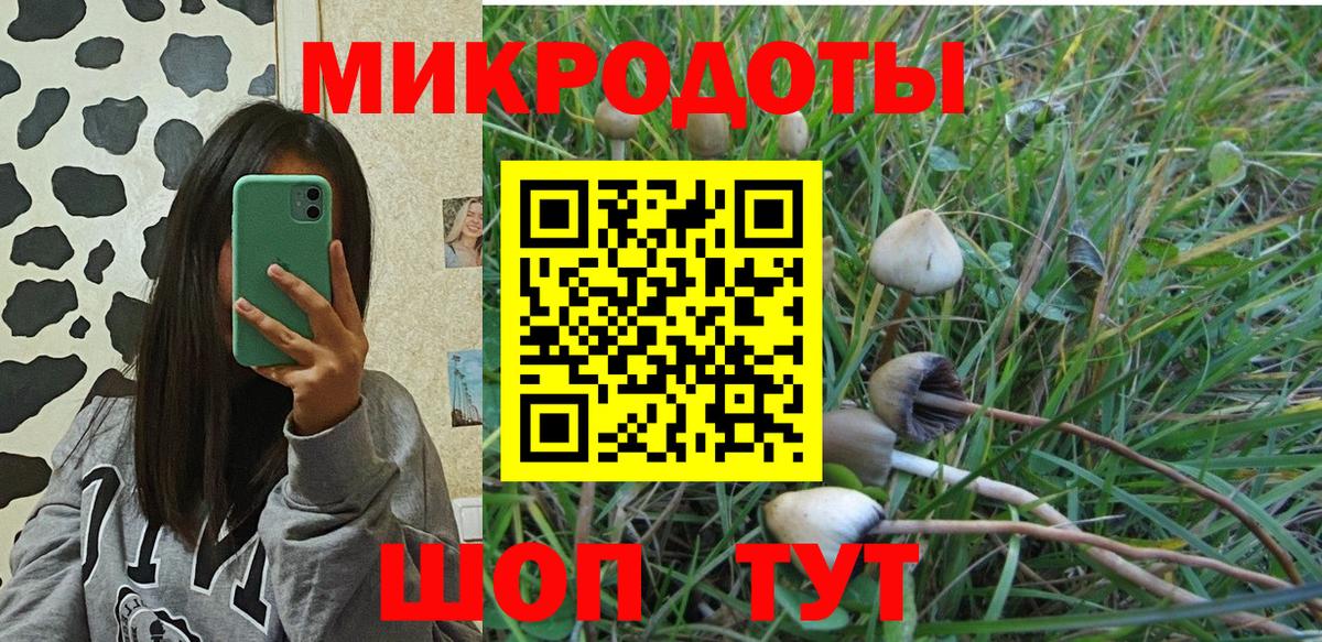 Галлюциногенные грибы Magic Shrooms  Вход с VPN  Псилоцибиновые грибы мухоморы  Кохма 