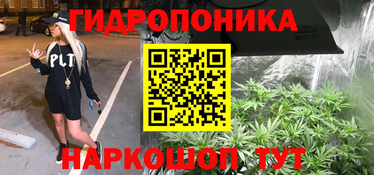 Кохма  Бошки Шишки White Widow  Вход с VPN  Канабис индика 